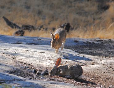 image108