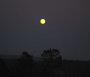 image306