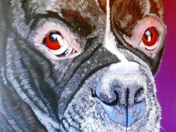 Dog's Monthly Winner