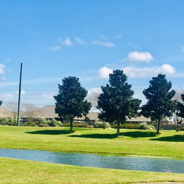 Lake / Pond maintenance