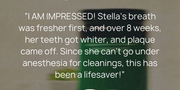 Customer praises PawTree Plaque Control for improving her dog's breath and teeth without anesthesia.