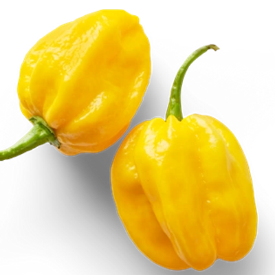 Sweet  & Hot Yello Habanero