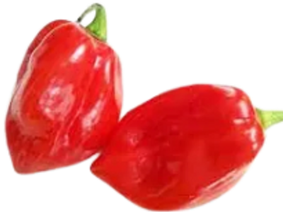 Delicious Red Habanero