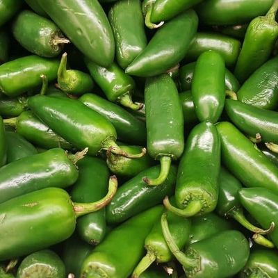 Green Jalapeño pepper