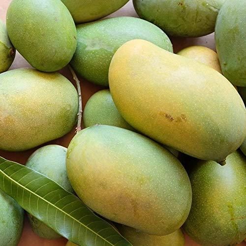 Order Rasalu Mangoes Online Indian Fruits in USA