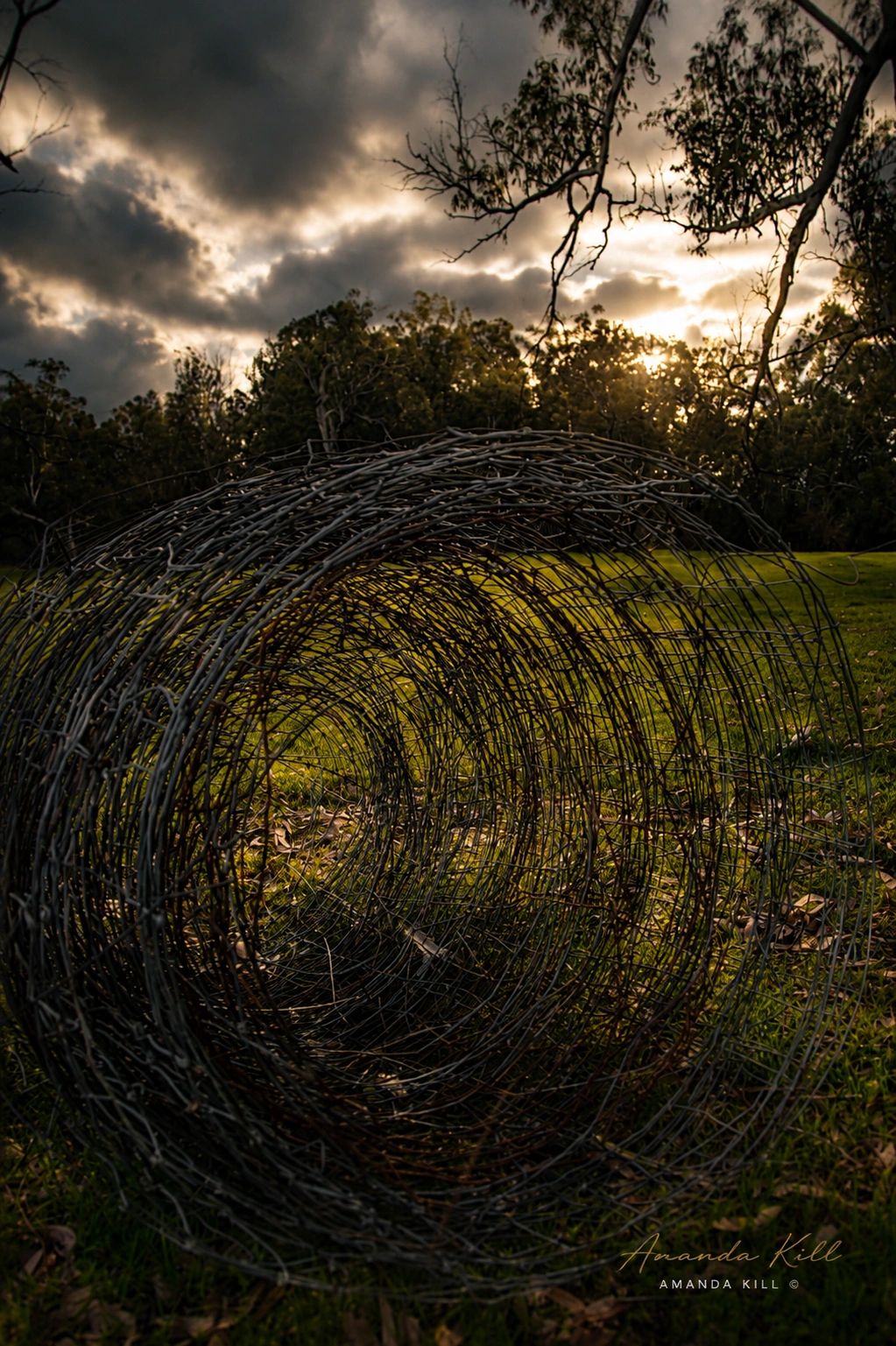 Barbed wire coil on grass with a dramatic cloudy sky at sunset.
