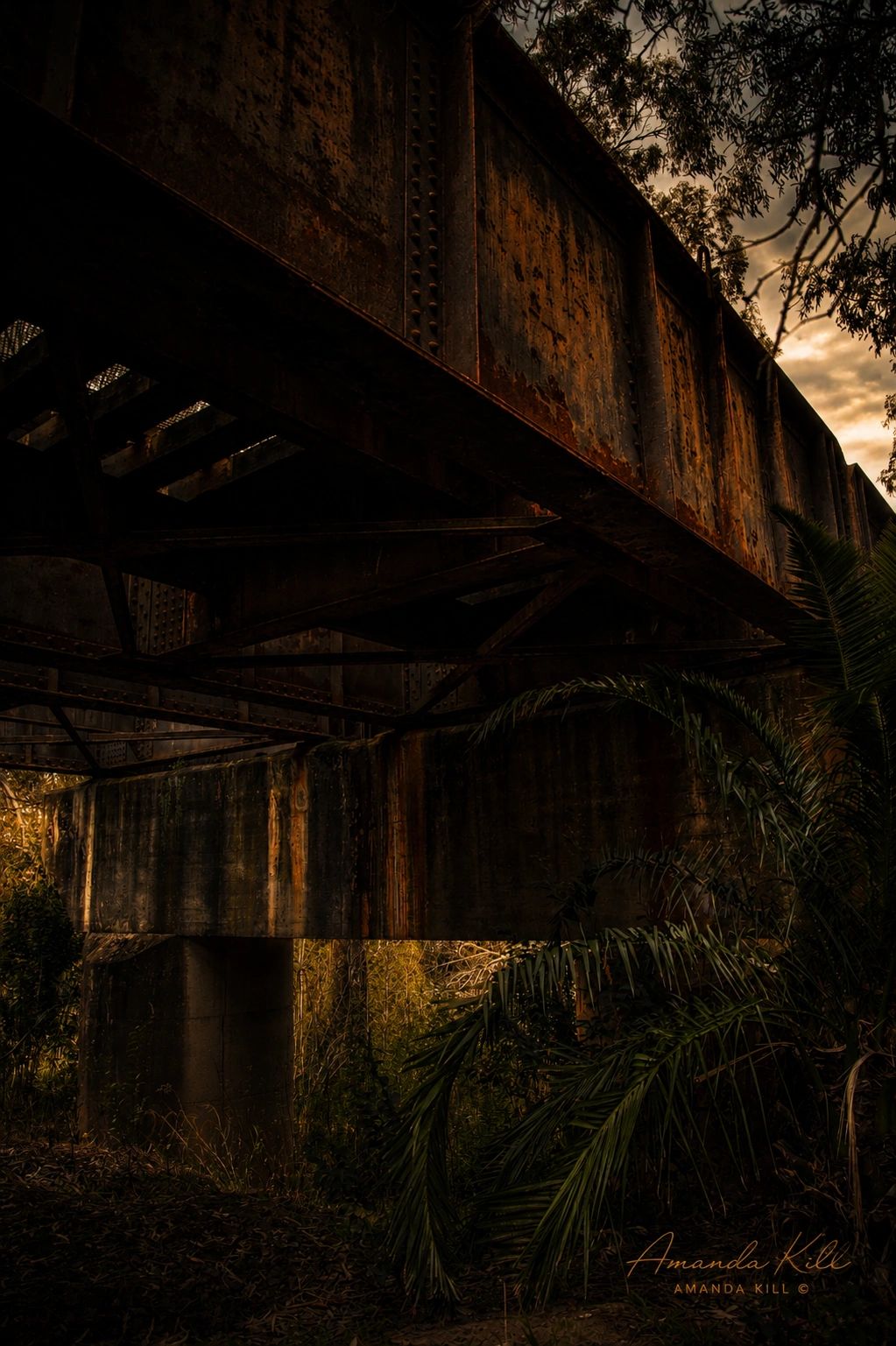 Rusty old railway bridge at sunset with surrounding plants.