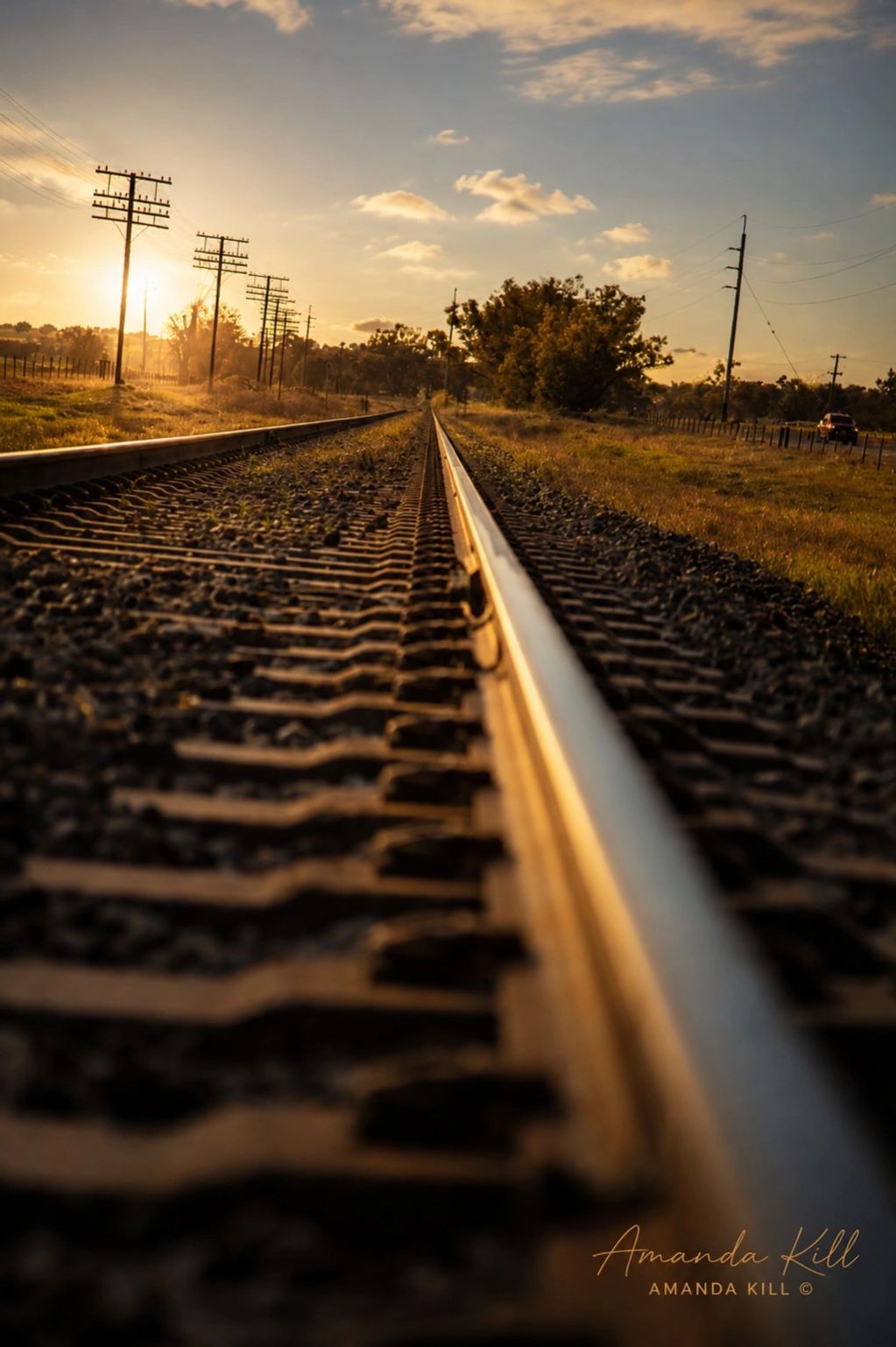 Railroad tracks stretching into a golden sunset with telephone poles lining the sides.