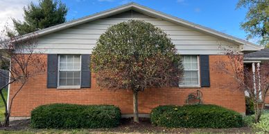 Trimming Bushes, Hedge Trimming, Fall Clean Up, Spring Clean Up.  Quality Lawn Care Middletown.