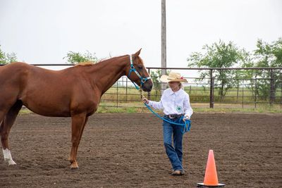A person leads a horse with a blue rope in an outdoor arena.