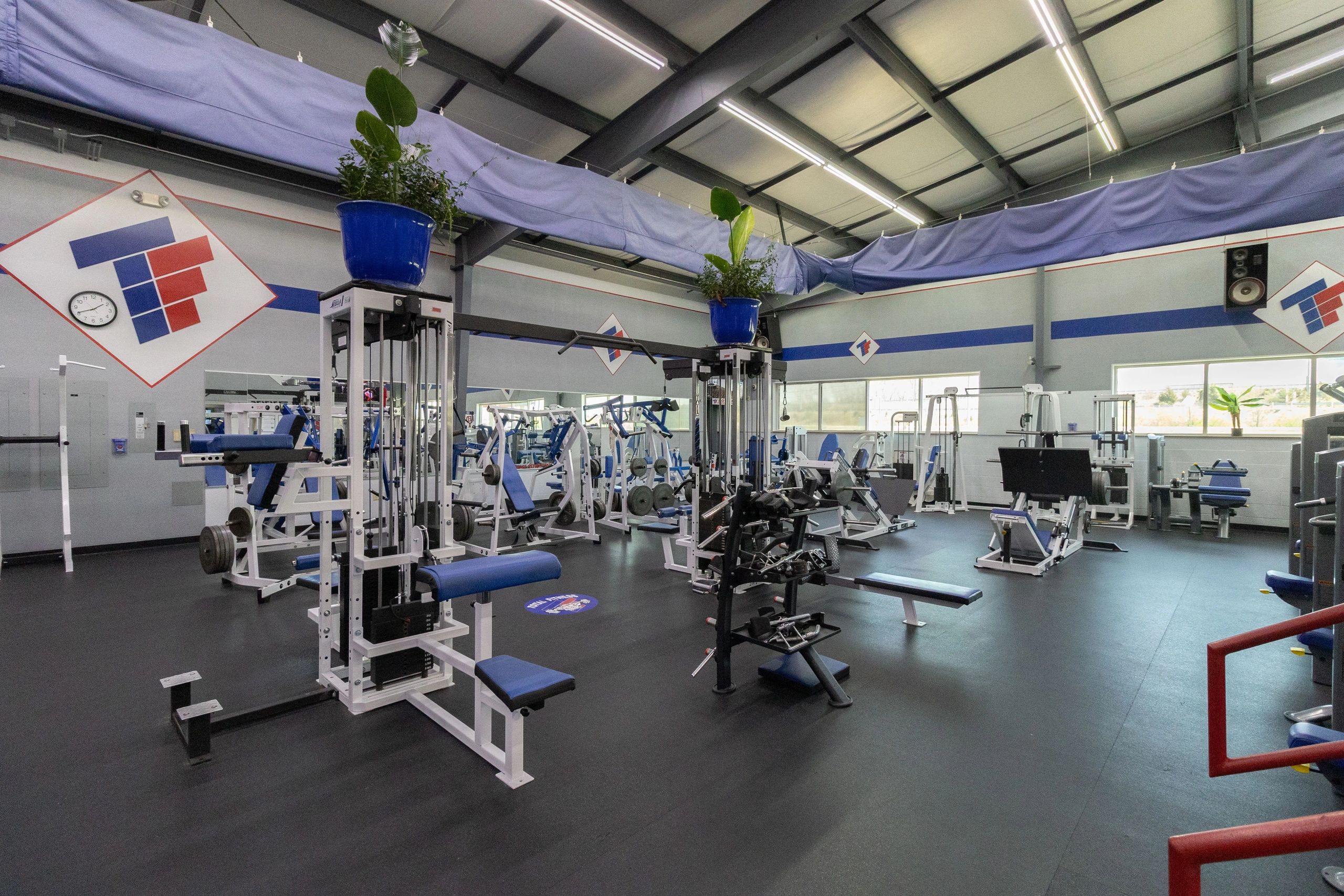 Modern gym interior with workout equipment and blue accents.