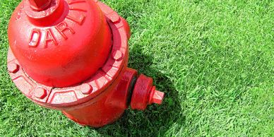 Fire-Hydrant-Olympia-Consulting-Group-Website