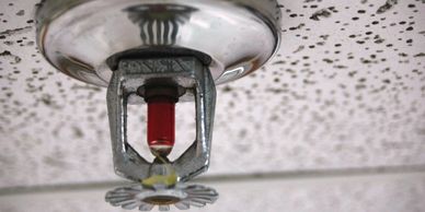 Olympia-Fire-Protection-Sprinkler-website