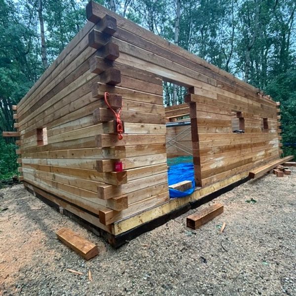 Wooden log cabin under construction in the forest.