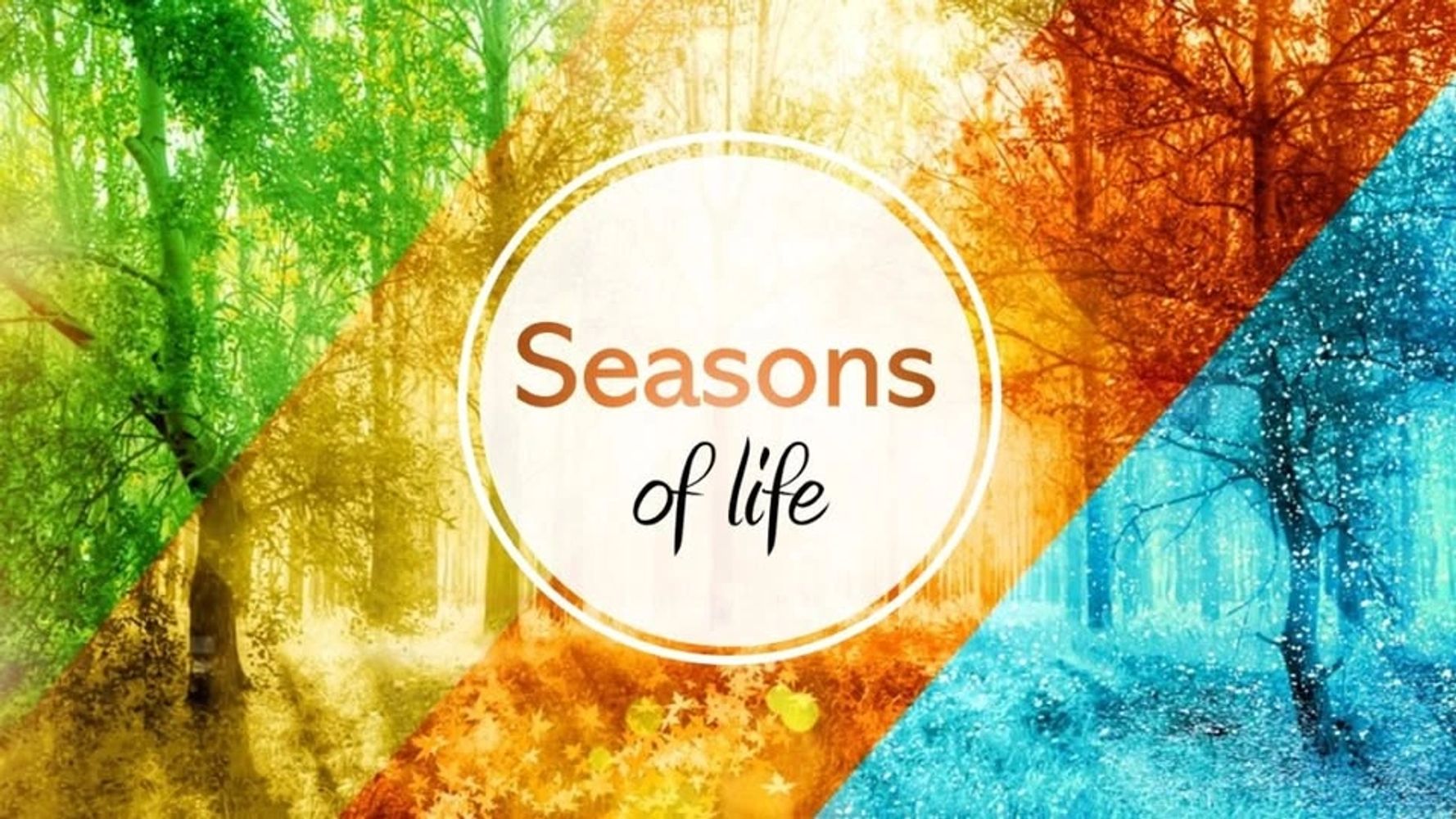 A colorful depiction of the four seasons with the text 'Seasons of life' in the center.
