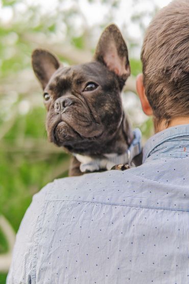 family photographer near me photographer near me kitchener photographer Cambridge photographer
