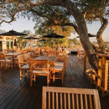 Outdoor restaurant seating under trees with umbrellas.