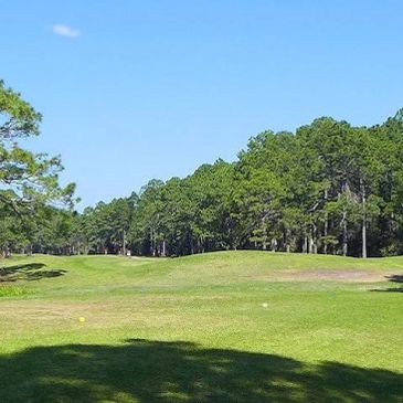 Golf course fairway with trees and blue sky.