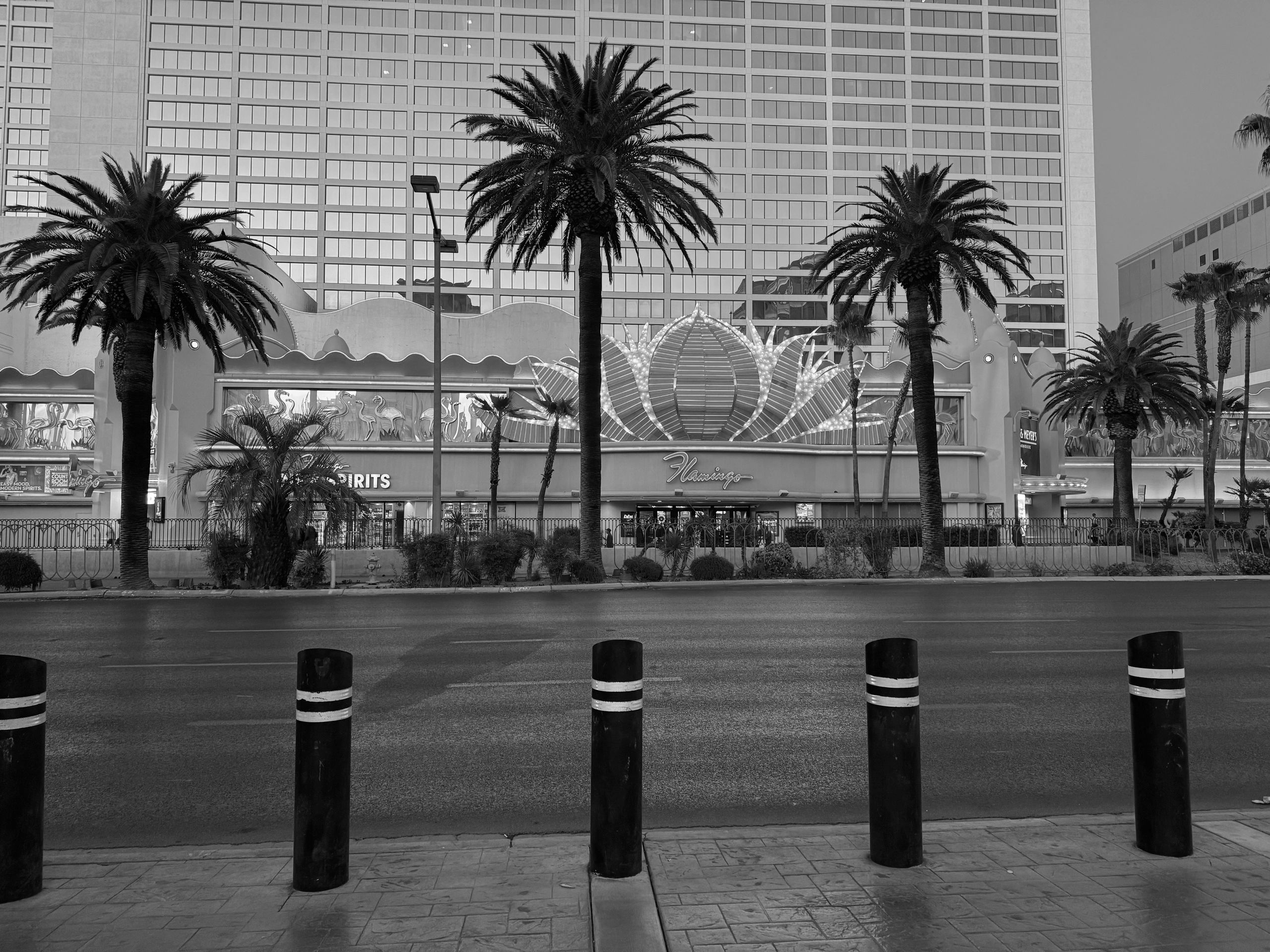 Flamingo Las Vegas Strip