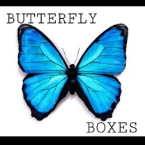 Butterfly Mystery Boxes
