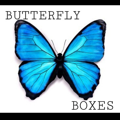 Butterfly Mystery Boxes