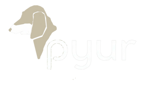 pyur