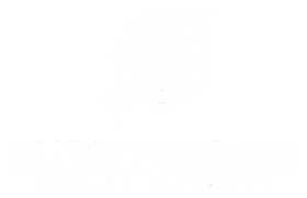 

SURVEYOR222