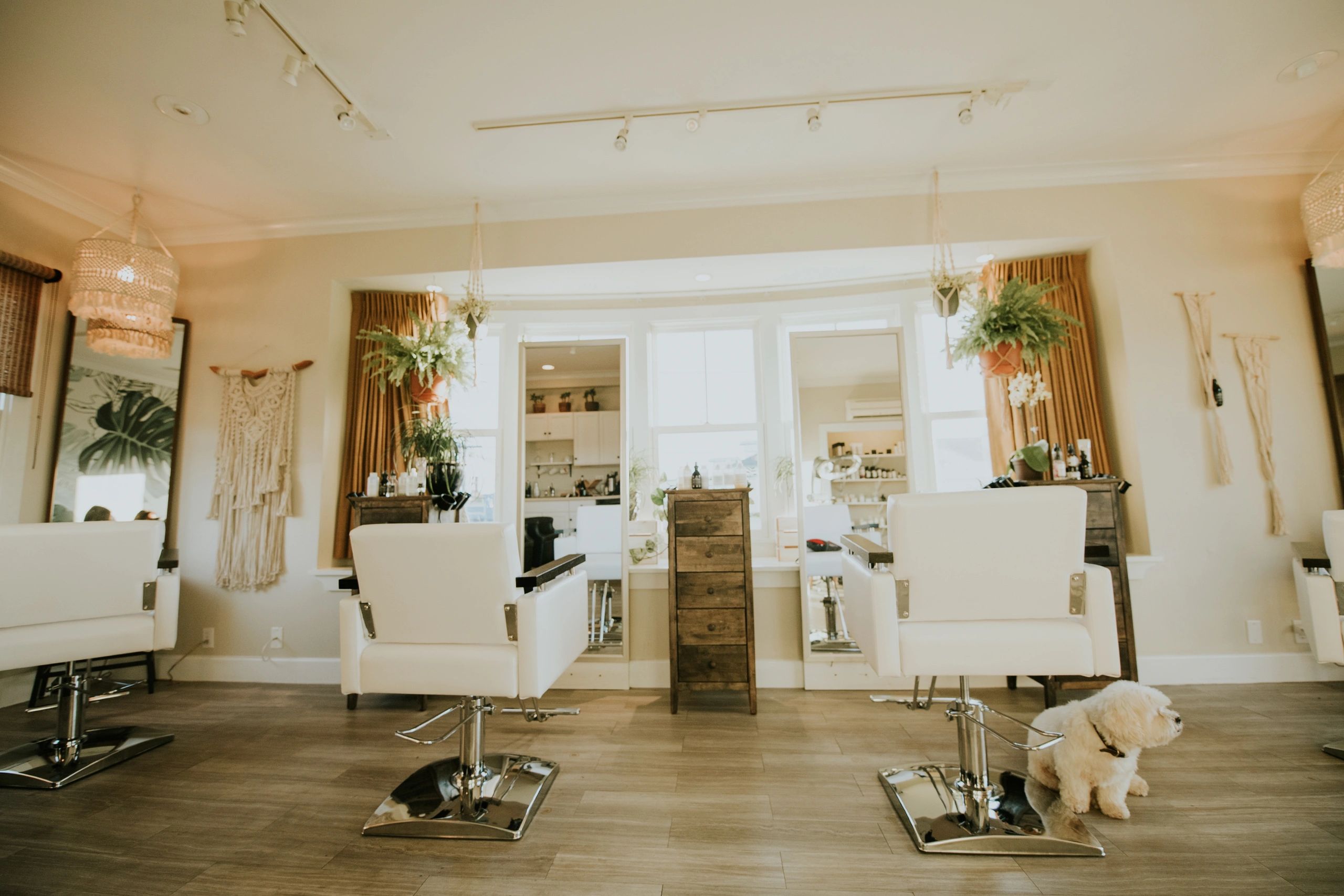 Isla James Salon Hair Salon, Haircut, Hair Color