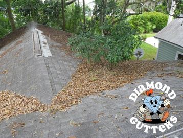 Roof debris for professional cleaning. Diamond Gutters serves Washington, D.C., Maryland, Virginia