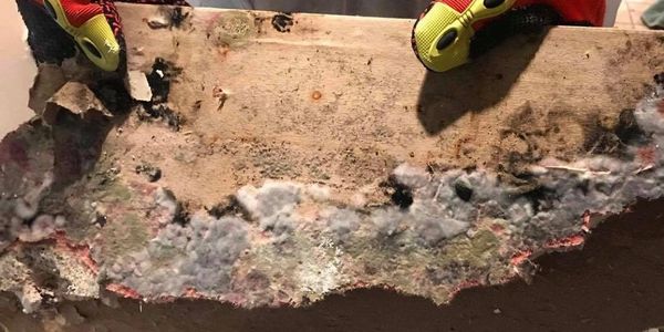 Mold on drywall. Mold cleanup