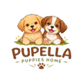  Pupella Puppies Home 