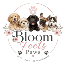  Pupella Puppies Home 