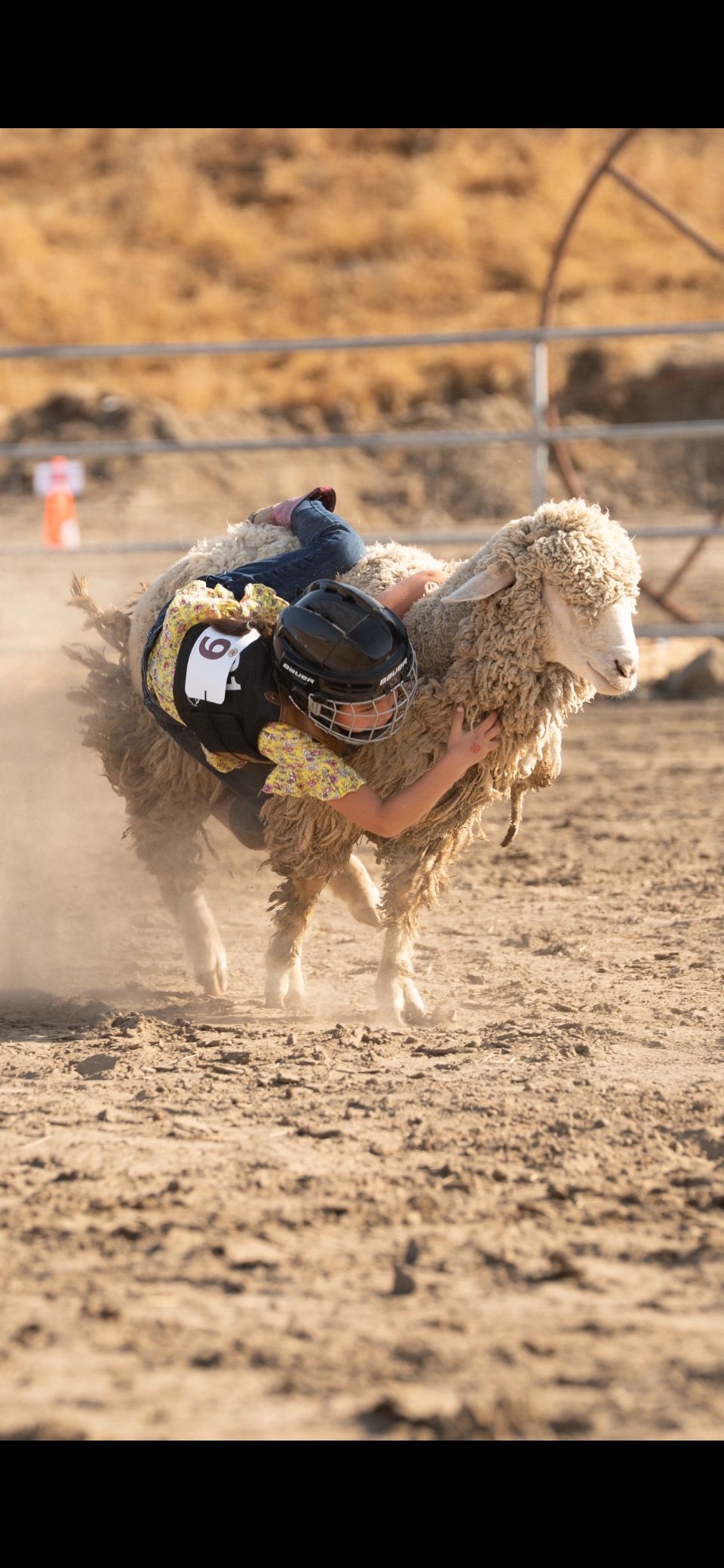 Rancho's Rodeo and Events