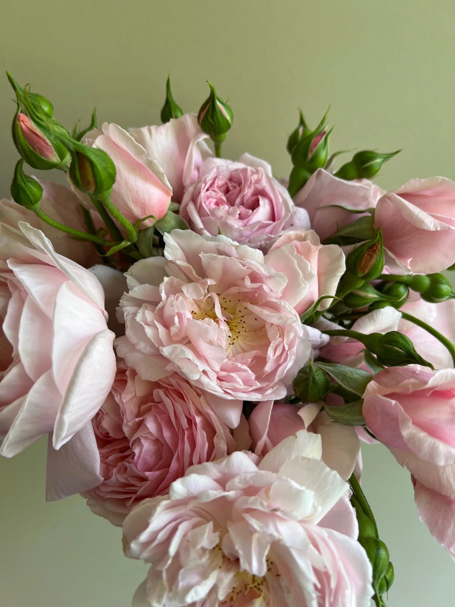 Order canberra wedding flowers online