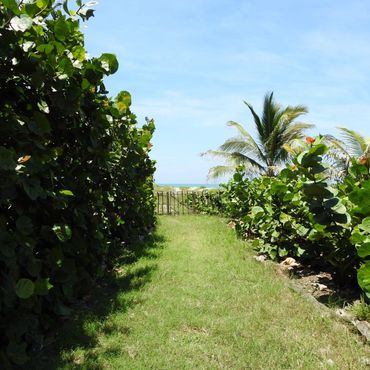 Chemin vers la plage - bord de l'eau