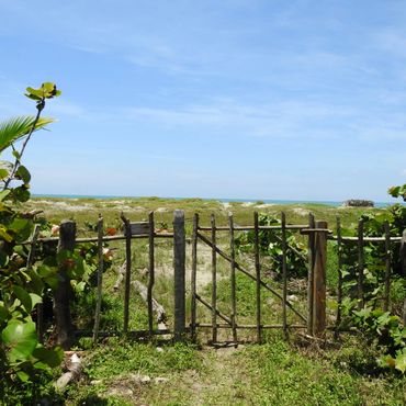 Chemin vers la plage