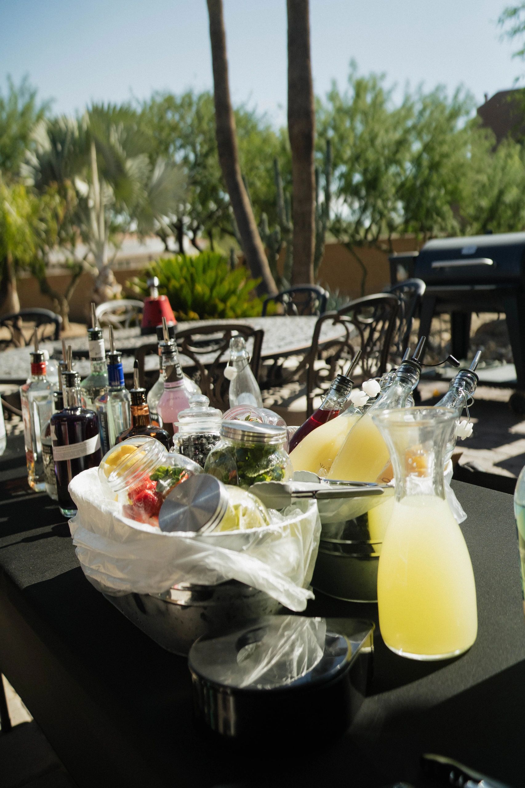 Shake It Off Mobile Bar - Mobile Bar in Scottsdale