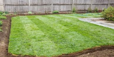 If you need fast and greener grass. Sod is recomended for faster green yard 
