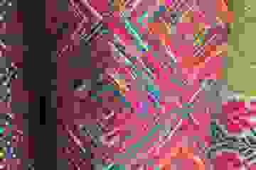 image225
