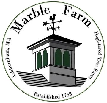 Logo of Marble Farm with weather vane.
