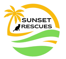 Sunset Rescues