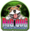 High THC Cannabis Seeds