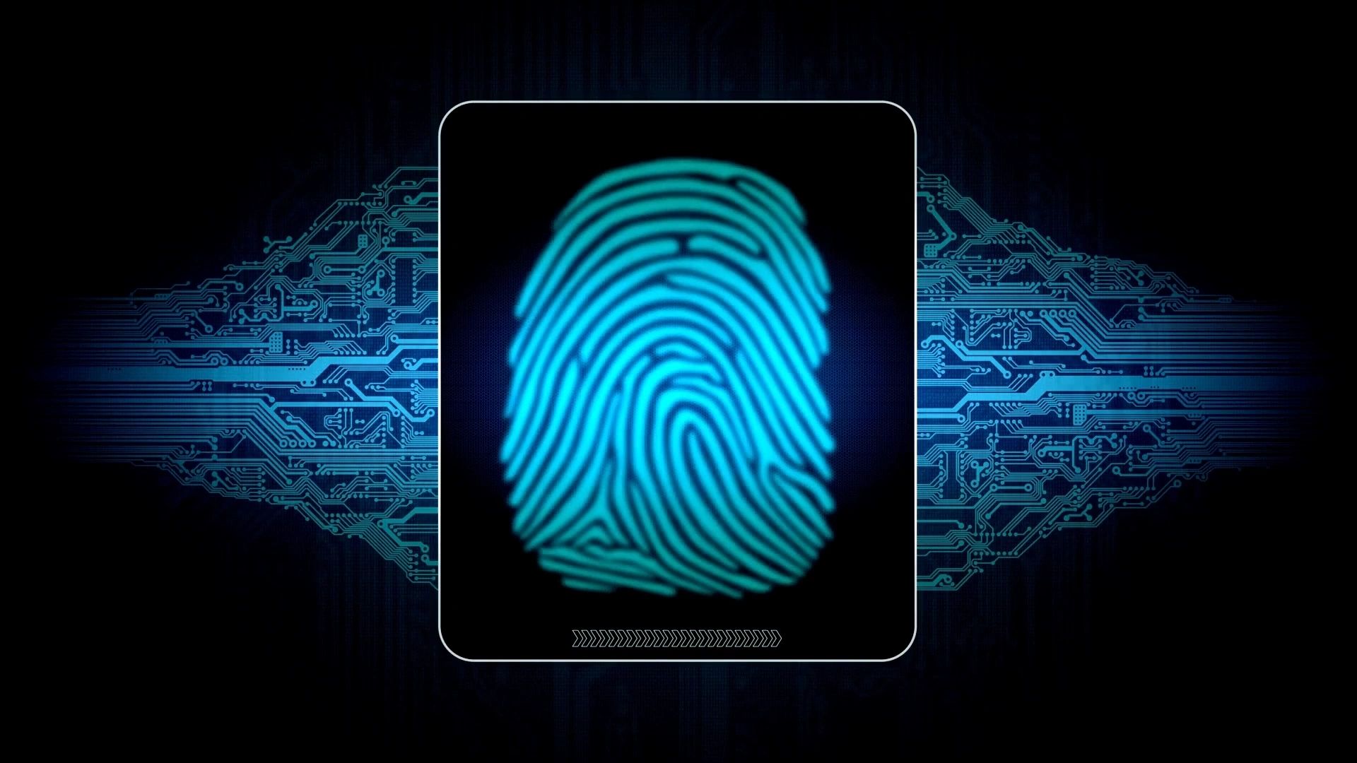 https://img1.wsimg.com/isteam/ip/b080bd48-71eb-46f4-9198-2f0936be3584/thumbnails/thumbnail-1a3cc0de-d024-4d9c-9b71-1eb6ed19756e.png