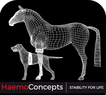 Wireframe models of a horse and dog with HaemoConcepts bandages, symbolizing stability in life.