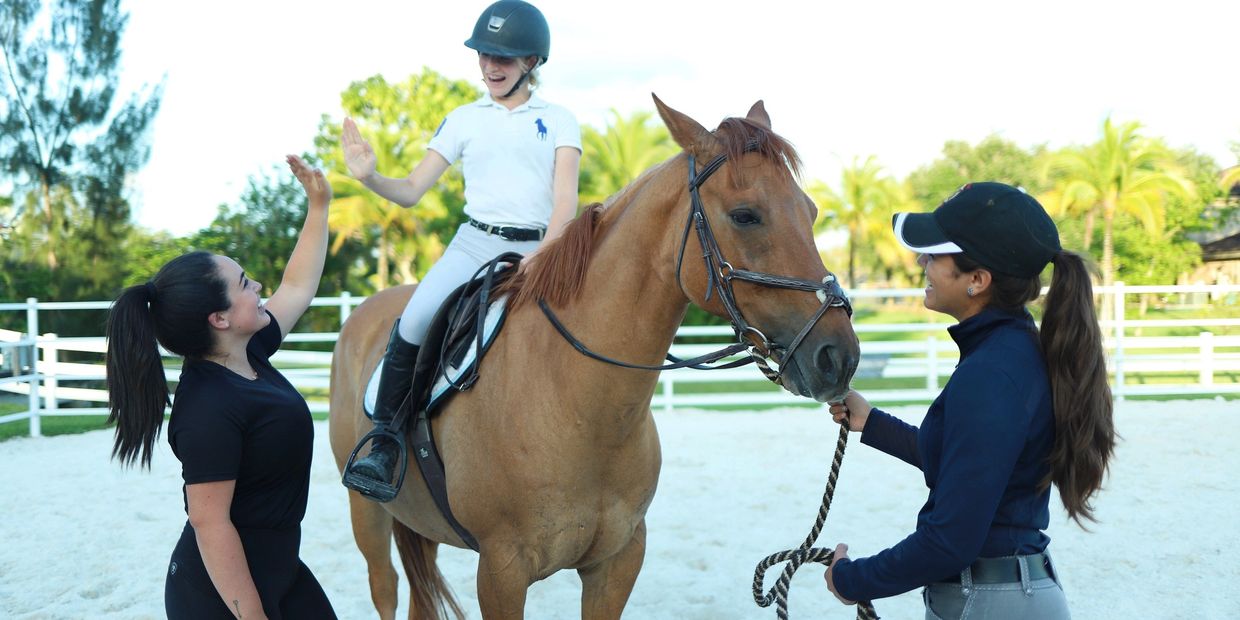 Equine Assisted Therapy session in Weston, Florida