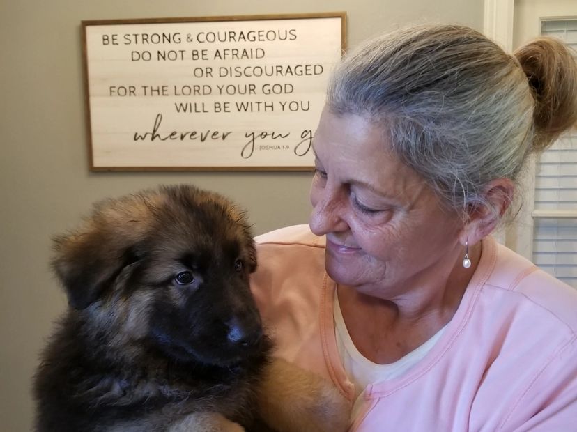 Testimonies 4 Great Oaks Kennel