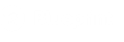 Blueprint Partners