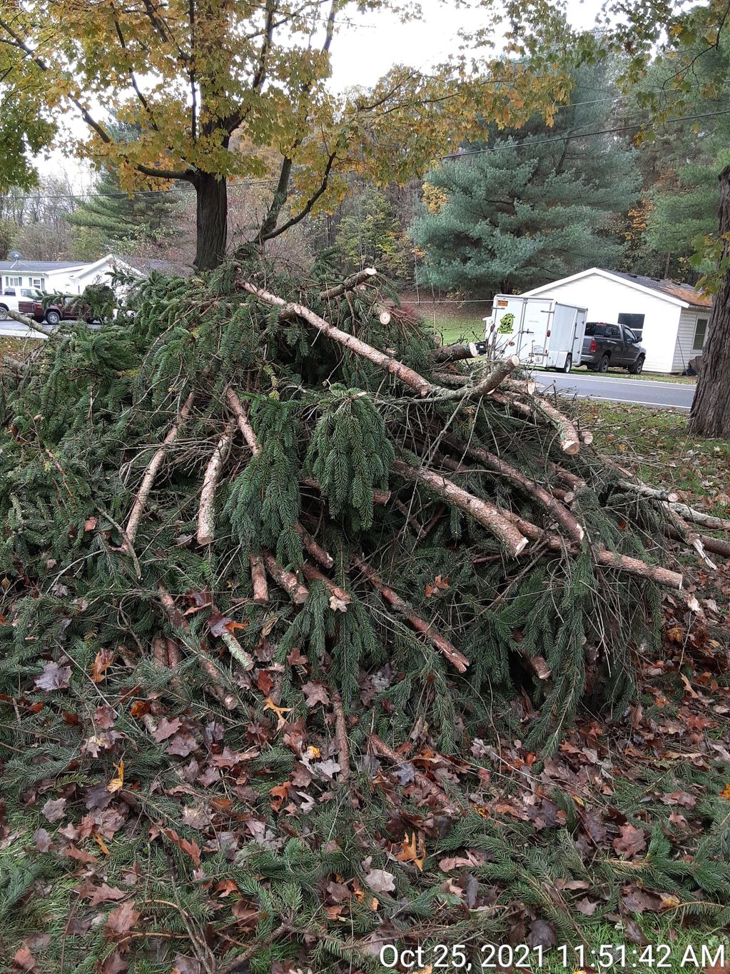 home owner can expect neat pile of debris left on a cut and leave style job 