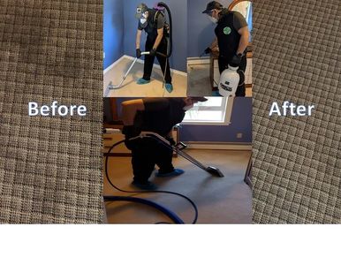 Carpet Cleaning Services