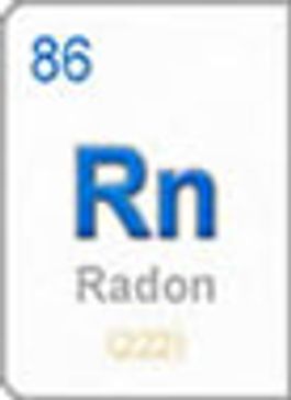 Radon testing Mebane, Cary, Chapel Hill, Greensboro. Termite and Pest inspections